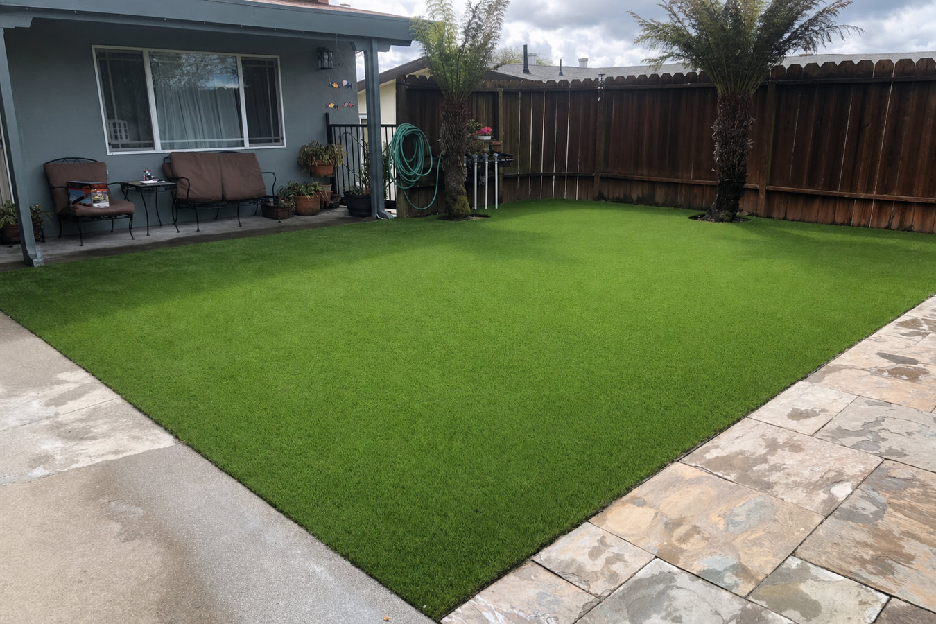 Drought-tolerant turf